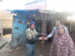 منازل أبو قير