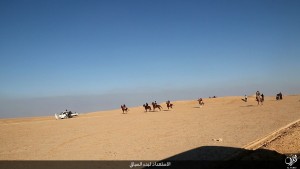 داعش
