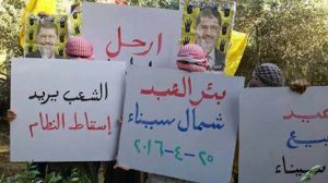 وقفة فى بئر العبد