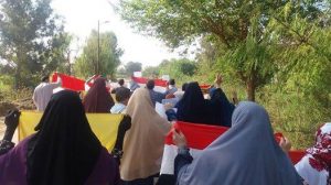 06_05_16_09_33_المنوفية - قويسنا